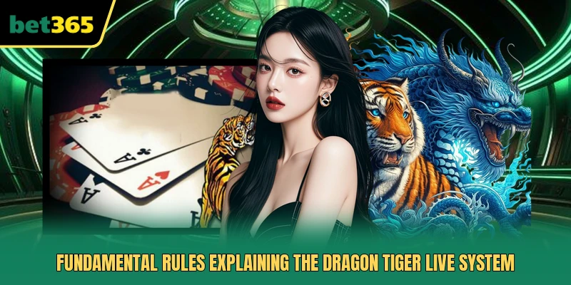 Fundamental rules explaining the Dragon Tiger Live system